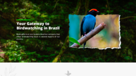 birdingrio